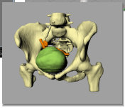 tensortek001007.jpg